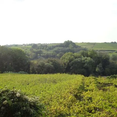 Gran Casa 5 Min. Dal Mare בית נופש Villa San Leonardo